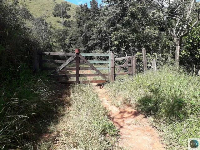 Imagem 15: Área em Pinda 13 Alqueires