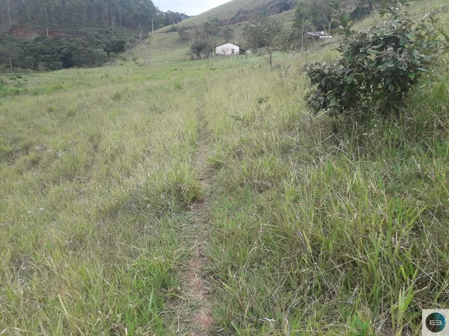 Imagem 6: Área em Pinda 13 Alqueires