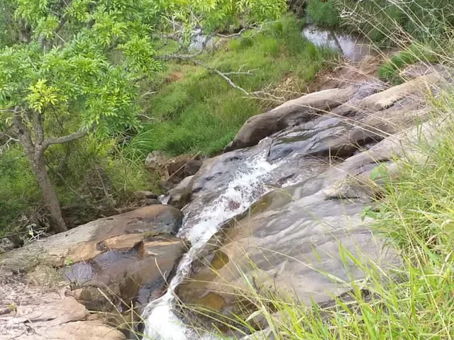 Imagem 2: Área em Pinda 13 Alqueires