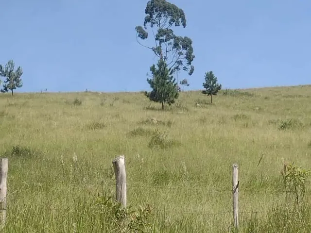 Imagem 9: Terreno em Salesópolis