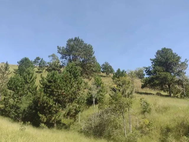 Imagem 2: Terreno em Salesópolis