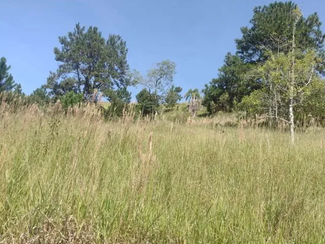 Imagem 6: Terreno em Salesópolis