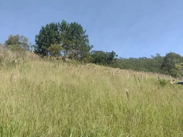 Imagem 3: Terreno em Salesópolis