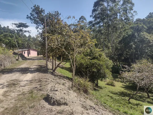 Imagem: Sítio em santa Branca