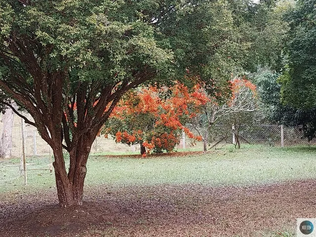 Imagem 5: Chácara Linda em Caçapava