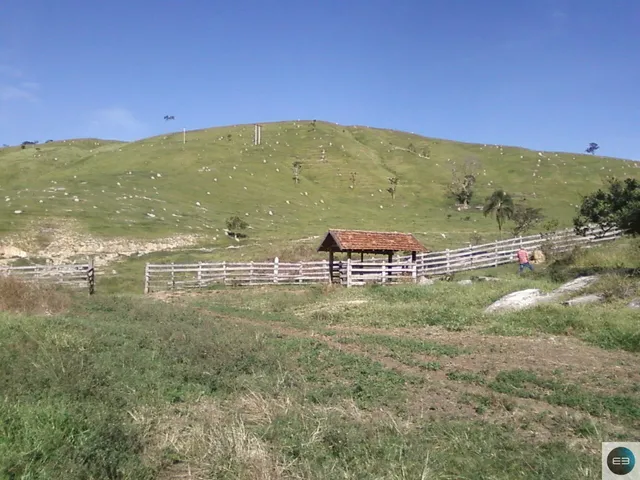 Imagem: Fazenda com 54 Alqueires