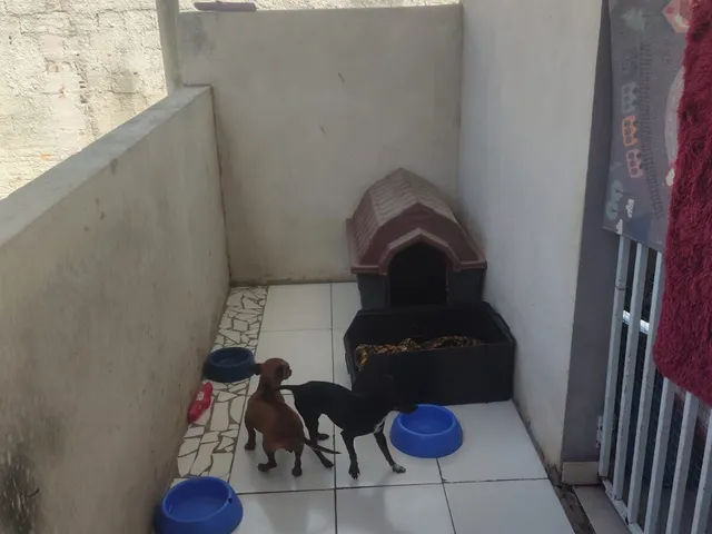 Imagem 8: Casa em Vila Gilcy, Campo Largo/PR