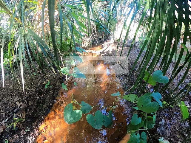 Imagem 2: Chácara com 2.500M² Terreno Total À Venda em Caldas Novas-Go