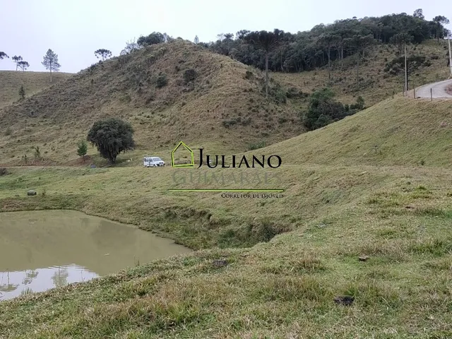 Imagem 4: Terreno à venda em Rancho Queimado-SC, Invernadinha: 60.117,00 m² de área!