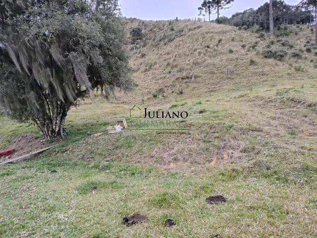 Imagem 15: Terreno à venda em Rancho Queimado-SC, Invernadinha: 60.117,00 m² de área!