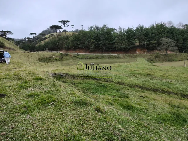 Imagem 14: Terreno à venda em Rancho Queimado-SC, Invernadinha: 60.117,00 m² de área!