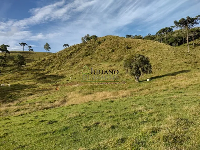 Imagem 2: Terreno à venda em Rancho Queimado-SC, Invernadinha: 60.117,00 m² de área!
