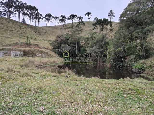 Imagem 6: Terreno à venda em Rancho Queimado-SC, Invernadinha: 60.117,00 m² de área!