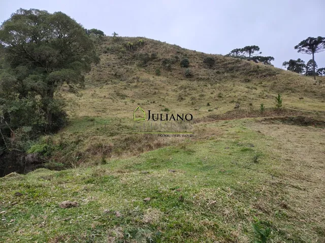 Imagem 3: Terreno à venda em Rancho Queimado-SC, Invernadinha: 60.117,00 m² de área!
