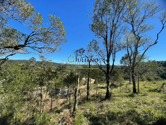 Imagem 15: TERRENO RURAL Á VENDA - RANCHO QUEIMADO SC