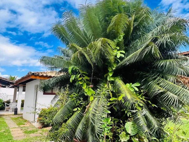 Imagem 9: Casa em condomínio fechado ? Buraquinho, Lauro de Freitas/BA