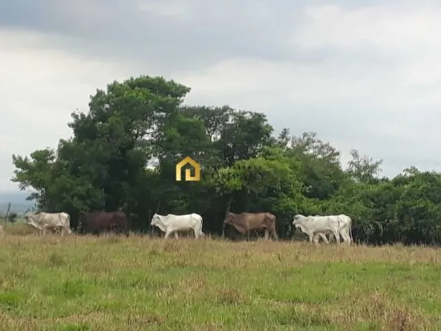 Imagem 5: Área À Venda no Bairro do Éden na Cidade de Sorocaba/Sp