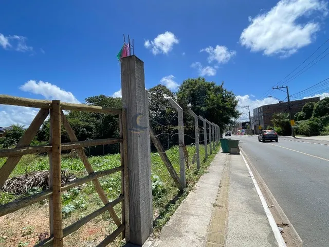 Imagem 3: TERRENO A VENDA EM ITACIMIRIM COM 2.00OM²| REGULAR
