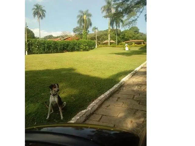 Imagem 2: Imagine um lindo sítio em um condomínio tranquilo, perfeito para lazer ou morar com