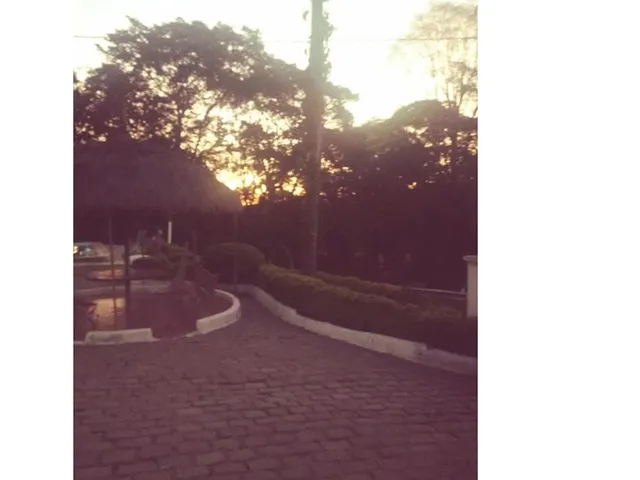 Imagem 7: Imagine um lindo sítio em um condomínio tranquilo, perfeito para lazer ou morar com