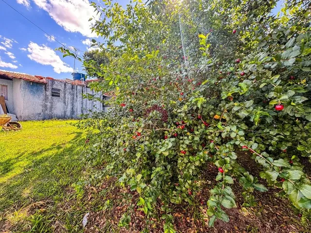 Imagem 14: SHA CONJ. 1 - CASA - 860M² - 4 QUARTOS - 1 SUÍTE - QUINTAL AMPLO - ARNIQUEIRAS