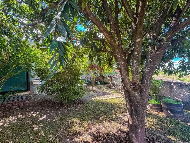 Imagem 12: SHA CONJ. 1 - CASA - 860M² - 4 QUARTOS - 1 SUÍTE - QUINTAL AMPLO - ARNIQUEIRAS