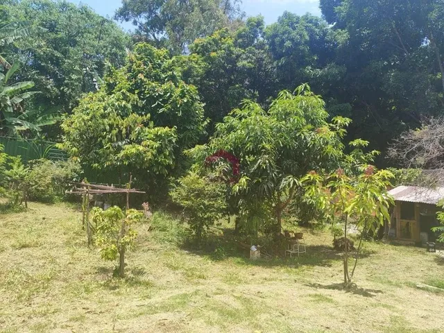 Imagem 14: BEIJA FLOR - 130M² - 2 QUARTOS - 4 VAGAS - POMAR - CONDOMÍNIO FECHADO - CASA