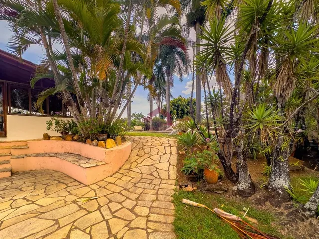 Imagem 14: PARK WAY - QUADRA 5 - LOTE 2.500M² - 4 QUARTOS - 2 SUÍTES - PISCINA - ÁREA VERDE