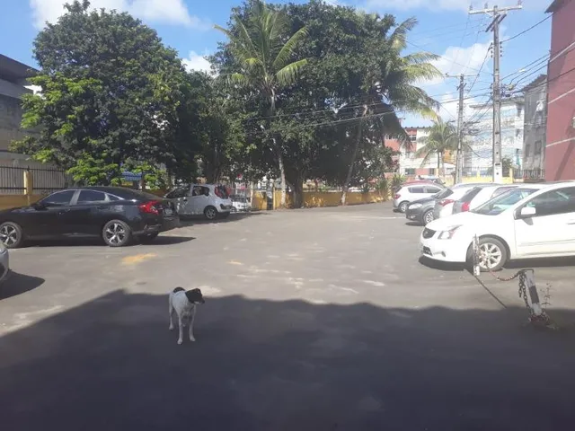 Imagem 2: Aluguel de Apartamento de 2 Quartos fianl de linha do Cabula VI - Salvador-BA - 46m² de