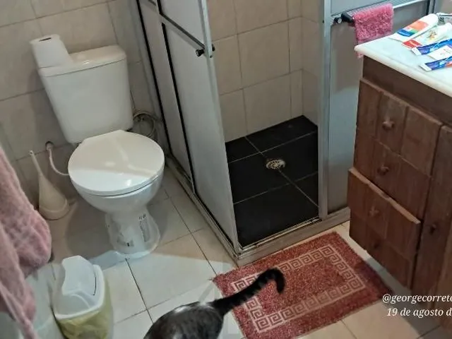 Imagem 4: Casa de luxo em condomínio na cidade de Salvador-BA, bairro Itapuã: 4 quartos, 2
