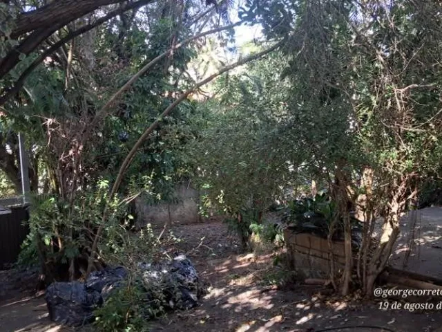Imagem 13: Casa de luxo em condomínio na cidade de Salvador-BA, bairro Itapuã: 4 quartos, 2