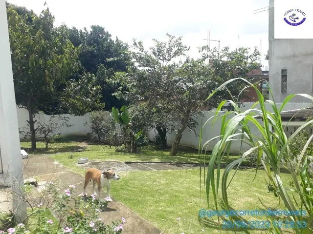 Imagem 15: Casa com terreno amplo medindo 300 m² para construção e investimento na Cajazeiras X