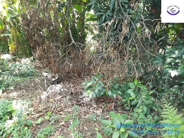Imagem 10: Casa à venda em Salvador-BA, Cajazeiras X: 3 quartos, 1 suíte, 1 sala, 1 banheiro, 3