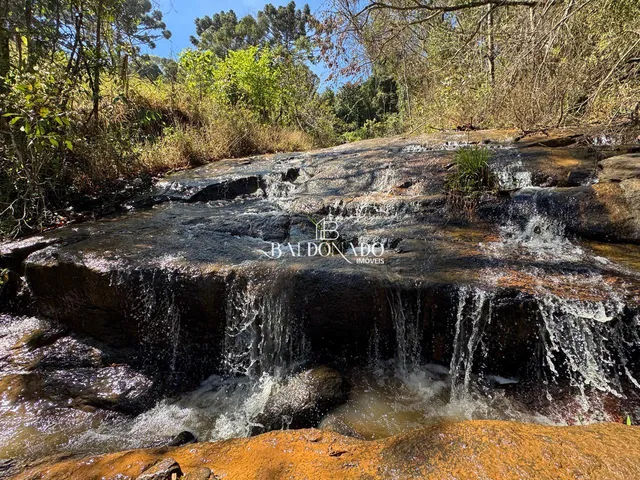 Imagem: Sitio a Venda em Toledo Mg com Área Total