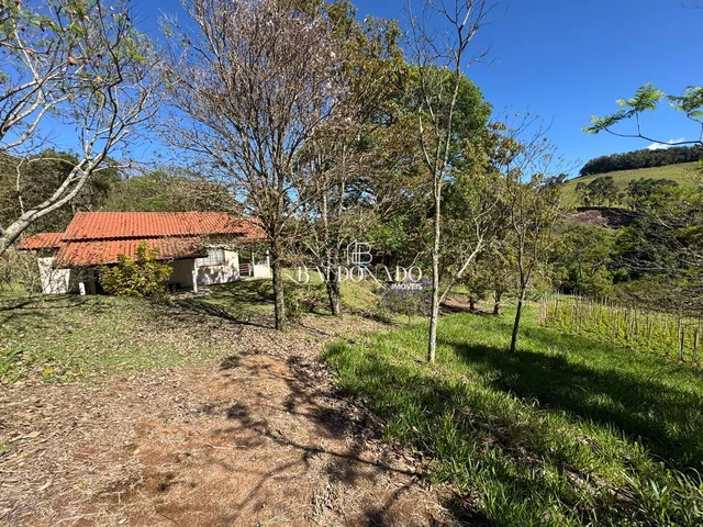 Imagem 11: Sitio a Venda em Toledo Mg com Área Total de 36.000 m, com Cachoeira Particular!