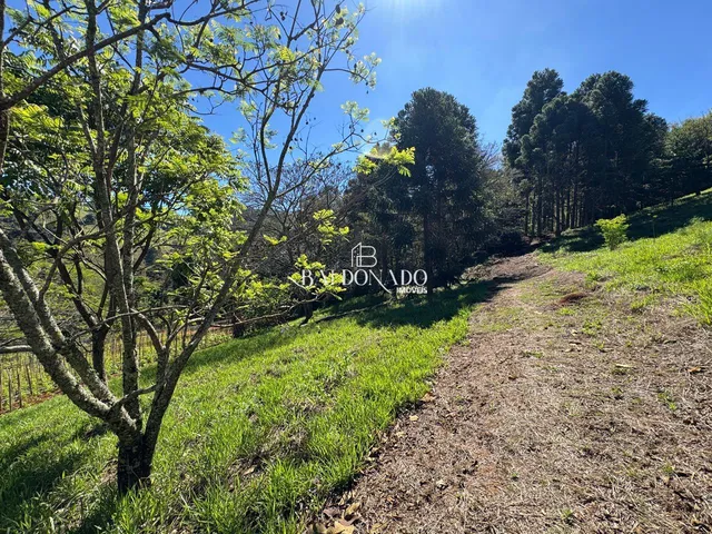 Imagem 13: Sitio a Venda em Toledo Mg com Área Total de 36.000 m, com Cachoeira Particular!