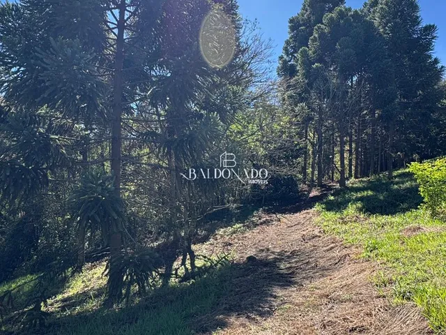 Imagem 12: Sitio a Venda em Toledo Mg com Área Total de 36.000 m, com Cachoeira Particular!