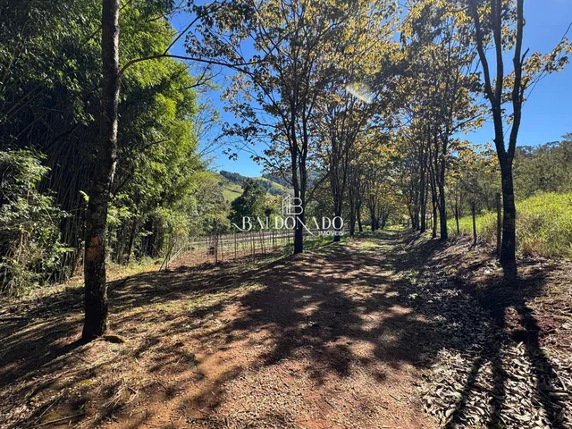 Imagem 6: Sitio a Venda em Toledo Mg com Área Total de 36.000 m, com Cachoeira Particular!