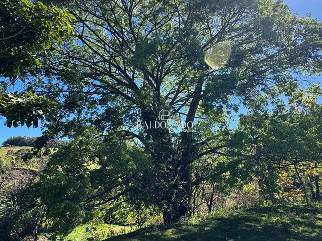 Imagem 10: Sitio a Venda em Toledo Mg com Área Total de 36.000 m, com Cachoeira Particular!