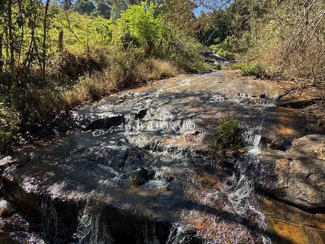 Imagem 15: Sitio a Venda em Toledo Mg com Área Total de 36.000 m, com Cachoeira Particular!