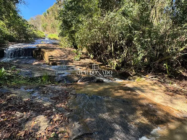 Imagem 16: Sitio a Venda em Toledo Mg com Área Total de 36.000 m, com Cachoeira Particular!