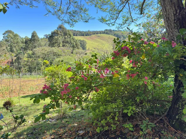 Imagem 14: Sitio a Venda em Toledo Mg com Área Total de 36.000 m, com Cachoeira Particular!