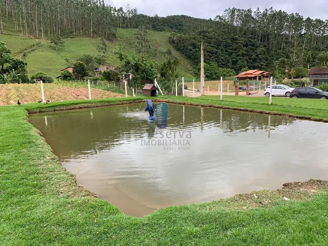 Imagem 15: Chácara de 25 Ha com Lindo Sobrado de 3 Quartos