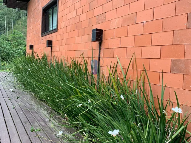 Imagem 13: Chácara de 25 Ha com Lindo Sobrado de 3 Quartos