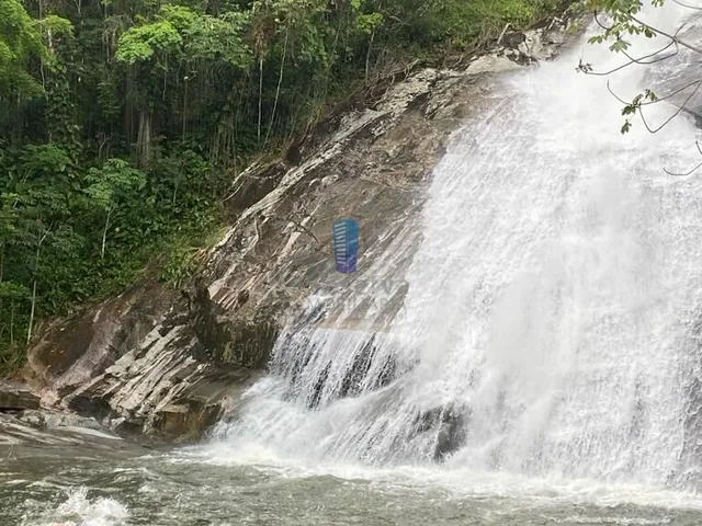 Imagem 10: Chácara de 25 Ha com Lindo Sobrado de 3 Quartos