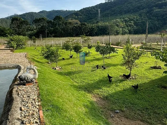 Imagem 9: Chácara de 25 Ha com Lindo Sobrado de 3 Quartos