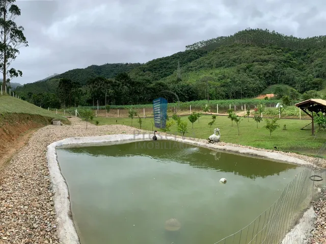 Imagem 4: Chácara de 25 Ha com Lindo Sobrado de 3 Quartos