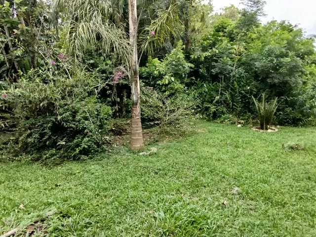 Imagem: Lotes a Venda em Morretes