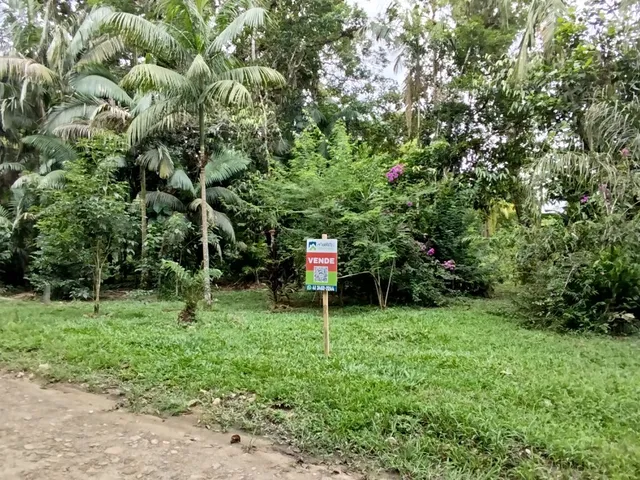 Imagem 7: Lotes a Venda em Morretes