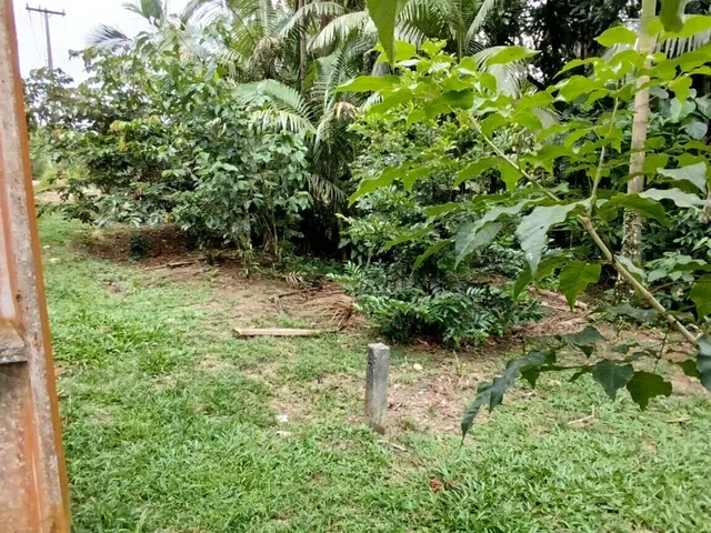 Imagem 16: Lotes a Venda em Morretes